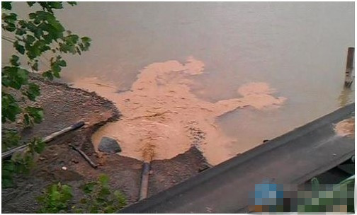 新聞圖片 新聞圖片