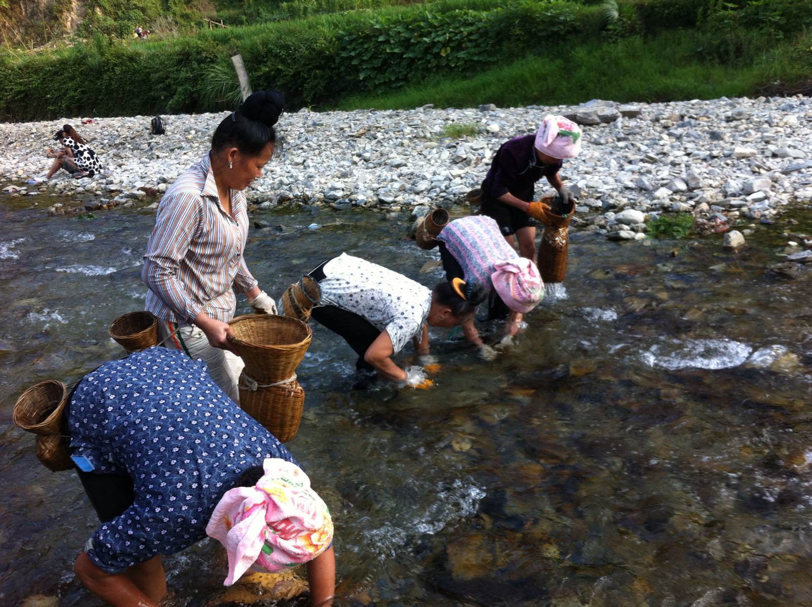 河流清澈 河流清澈