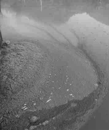 河流污染圖片 河流污染圖片